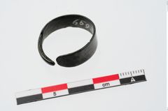 Foto von Bronzebandohrring (NHMW-PRAE-024341)